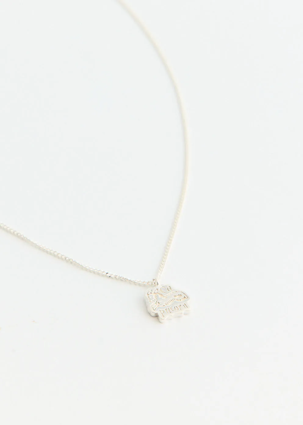 Capricorn Pendant