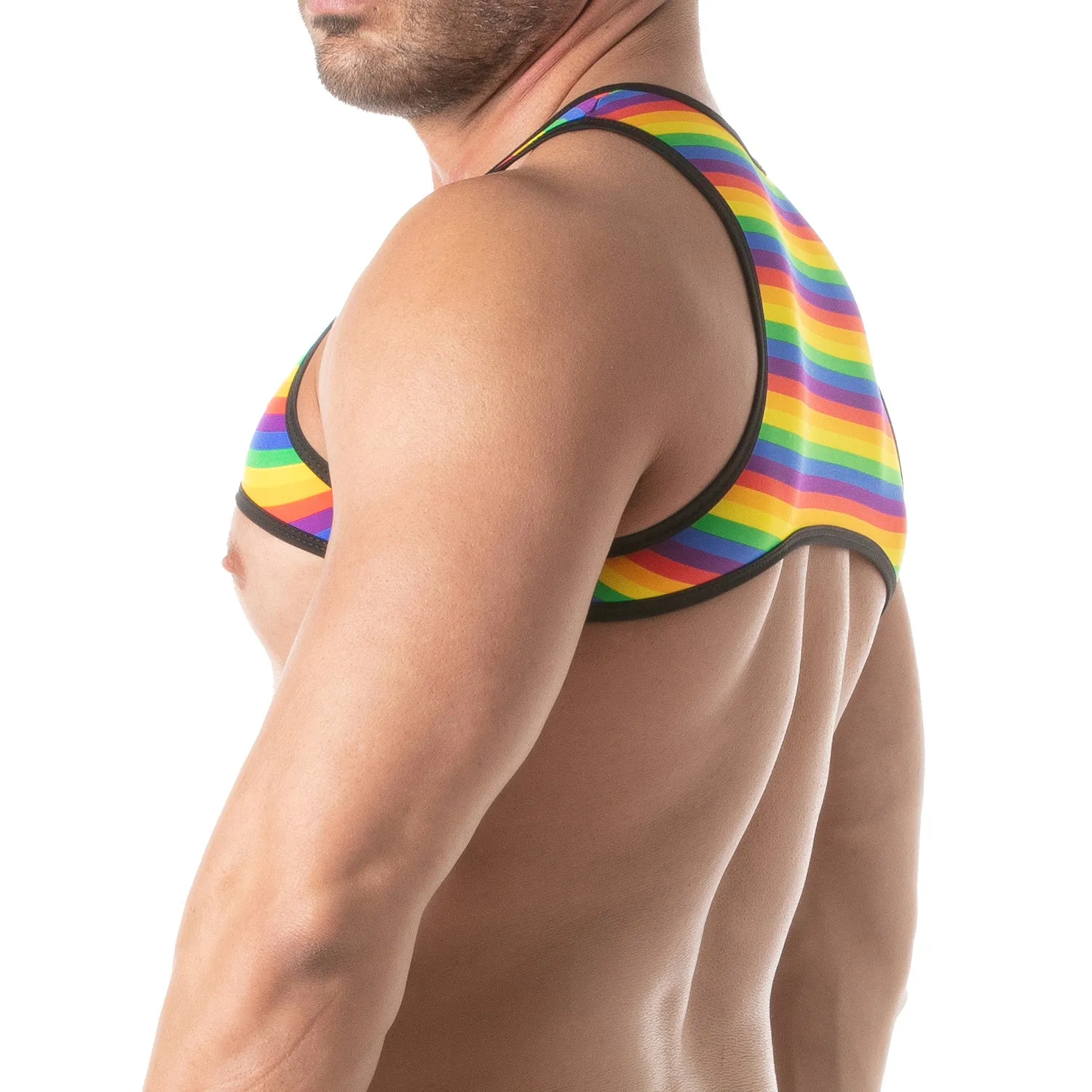 TOF Paris Rainbow Harness