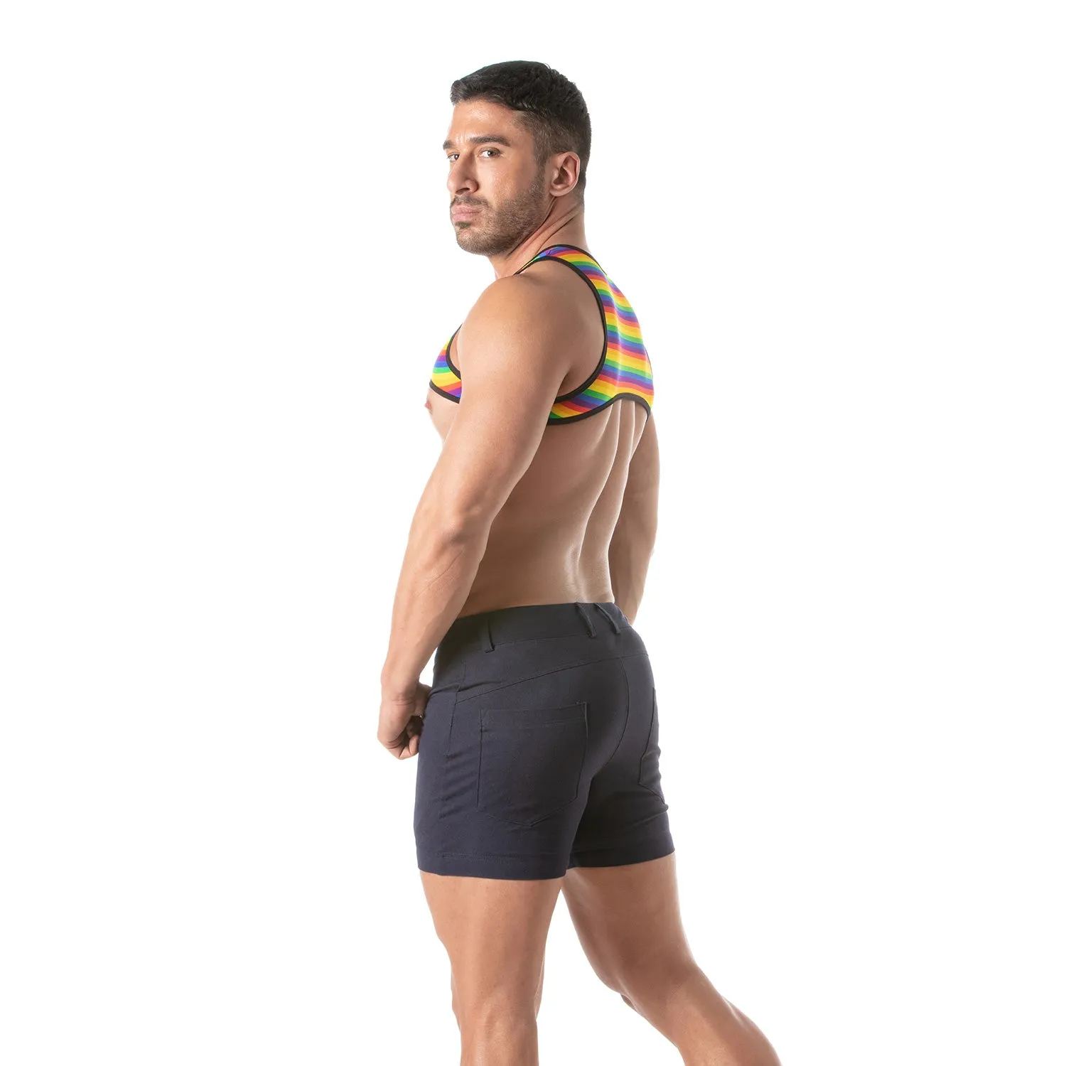 TOF Paris Rainbow Harness