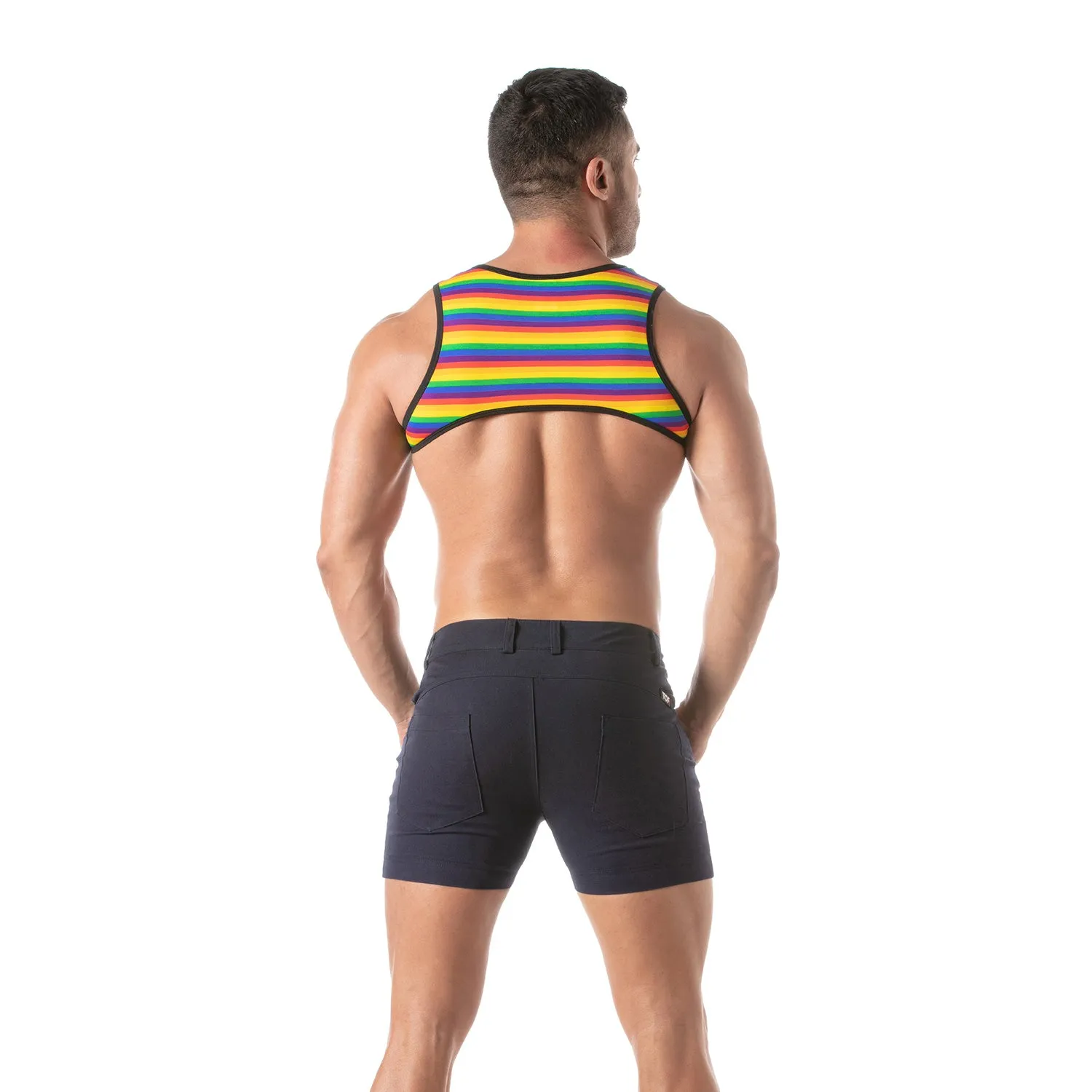 TOF Paris Rainbow Harness